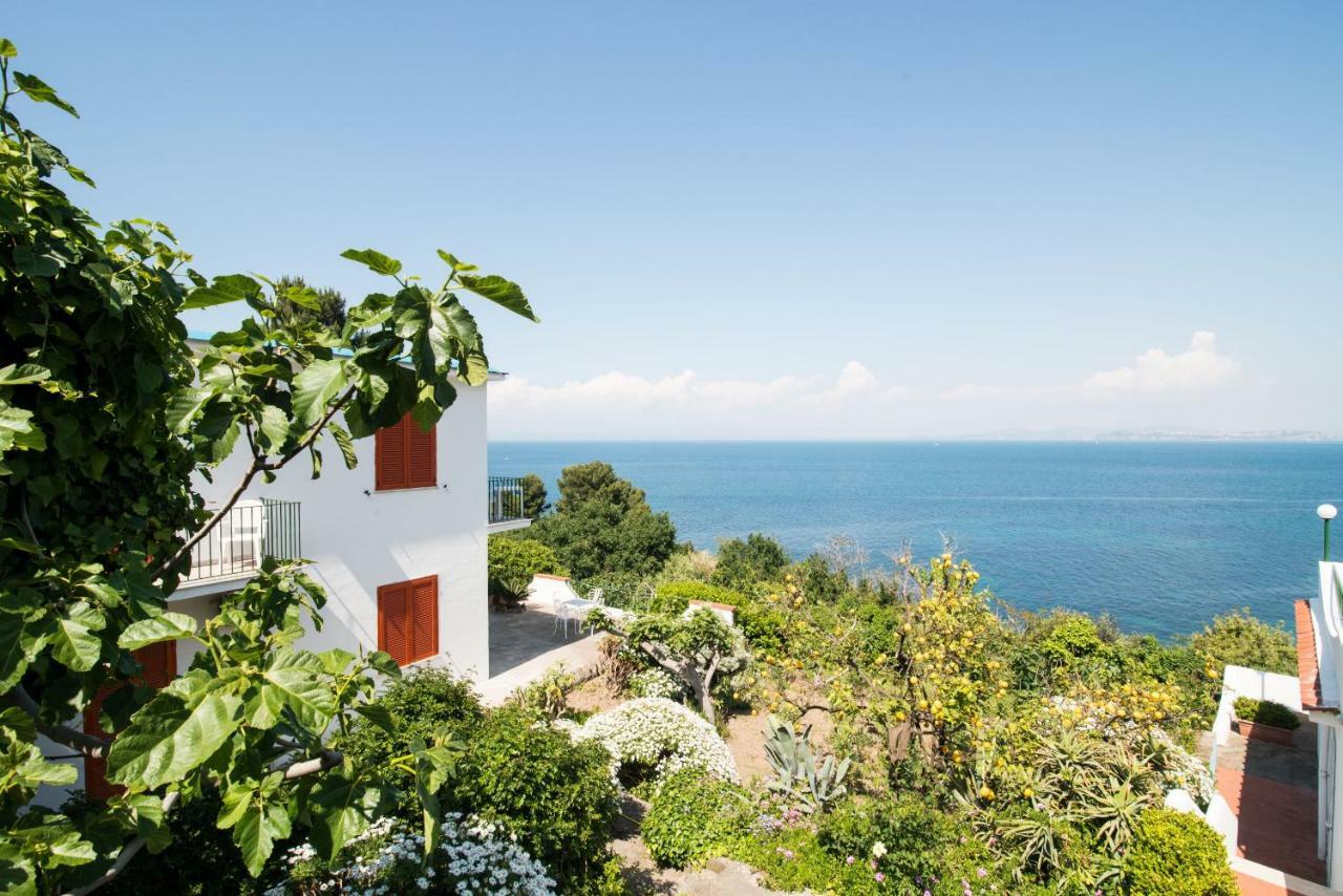 Hotel Bagnitiello Casamicciola Terme Eksteriør billede